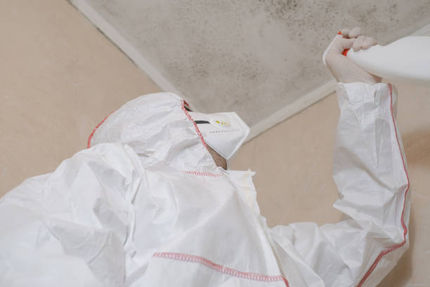 Environmental Consulting for Mold Prevention